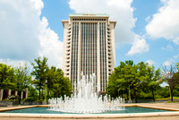Montgomery-0383