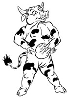 cow1