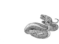 cobra
