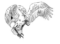 stork2