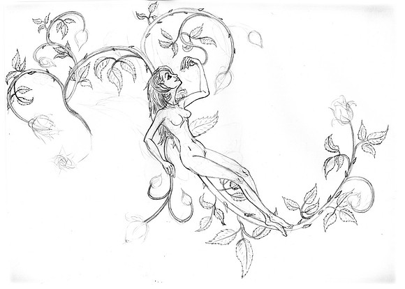 Fairy-study1