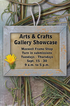 Gallery-Showcase